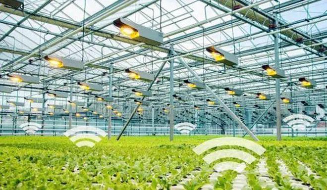 現(xiàn)代農(nóng)業(yè)的新篇章 智慧農(nóng)場(chǎng)、機(jī)器人、物聯(lián)網(wǎng)與人工智能的融合