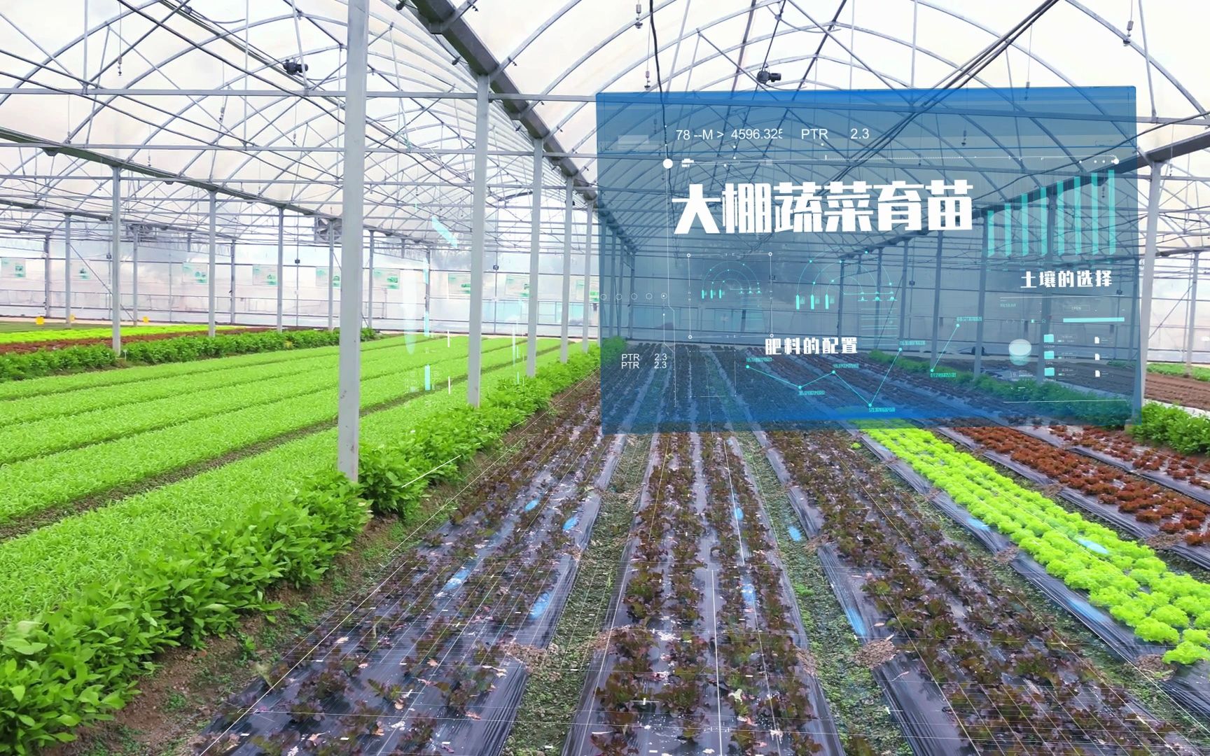 智慧農(nóng)業(yè)溫棚科技 信息技術(shù)在農(nóng)業(yè)技術(shù)開發(fā)中的創(chuàng)新應(yīng)用