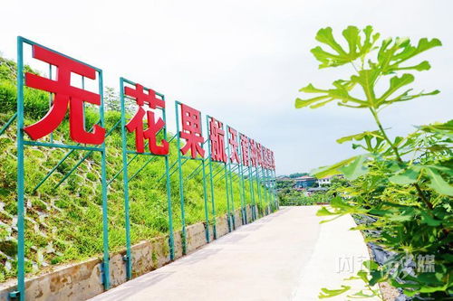 威遠 走好產業發展特色路，打造現代農業新引擎